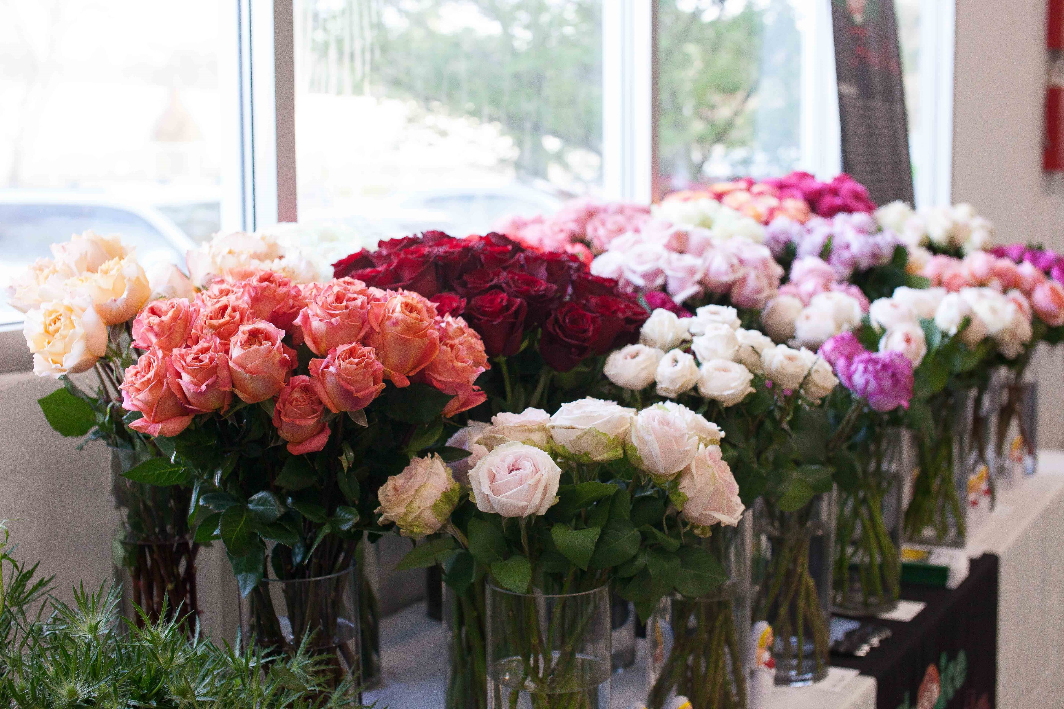 Cecilie Jensen Wholesale Flowers Near Me Now Wholesale Flowers Bulk