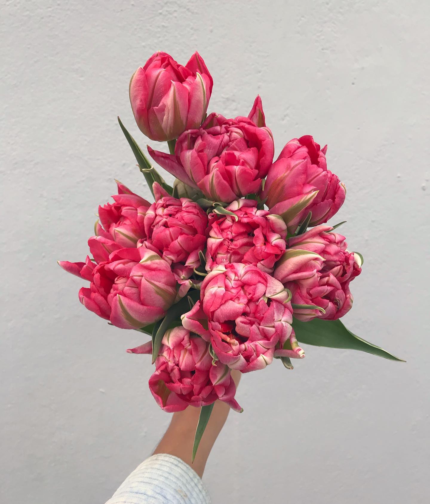 pink flower instagram
